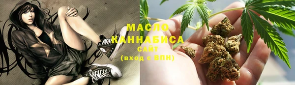 твердый Гусев