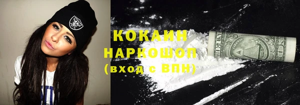 твердый Гусев