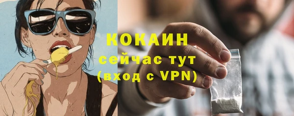 твердый Гусев