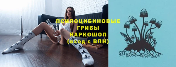 альфа пвп Заводоуковск
