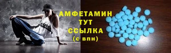 твердый Гусев