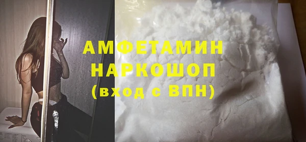 твердый Гусев