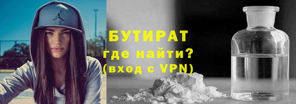 твердый Гусев