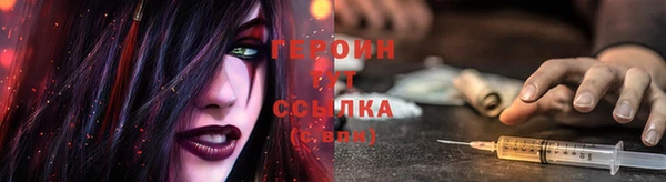 твердый Гусев