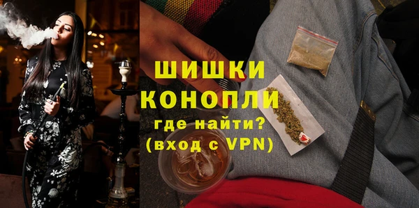 молекула духа Гусиноозёрск