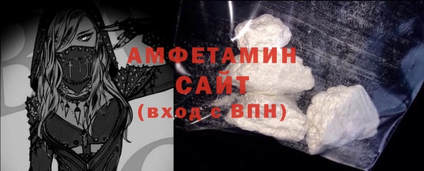 твердый Гусев
