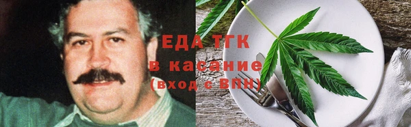 твердый Гусев