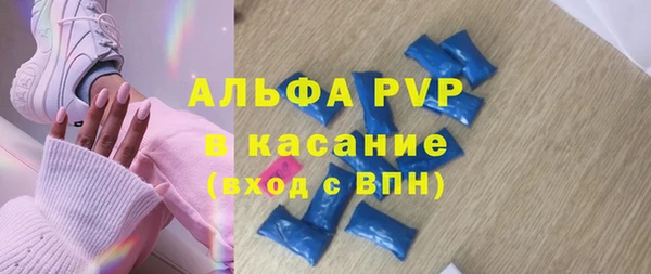 твердый Гусев