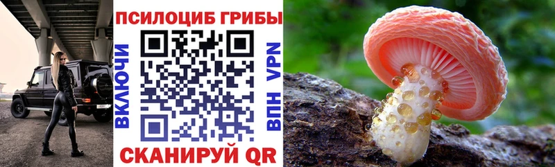 Псилоцибиновые грибы прущие грибы  Купить  Кингисепп 